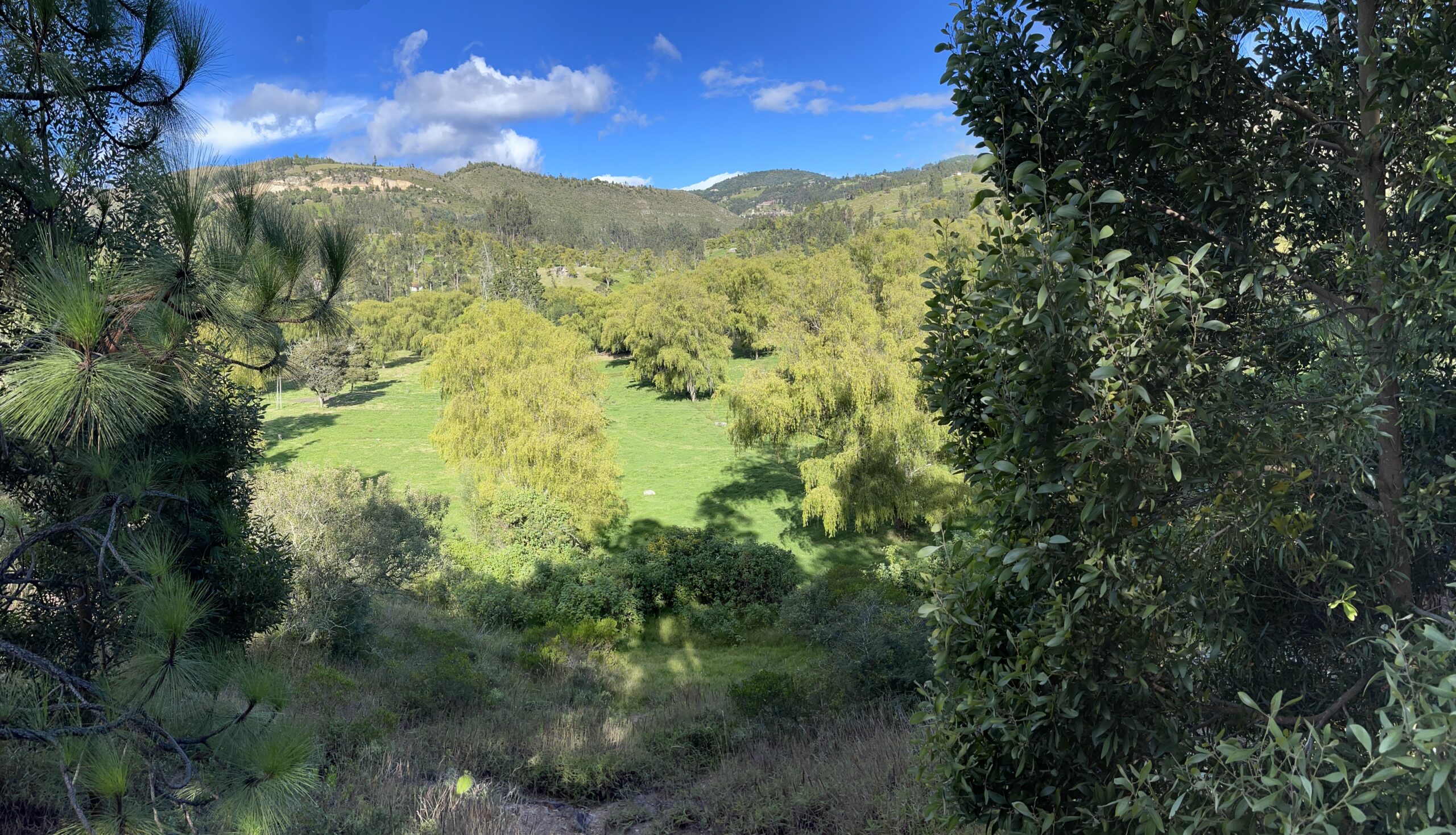A place to connect with your inner essence